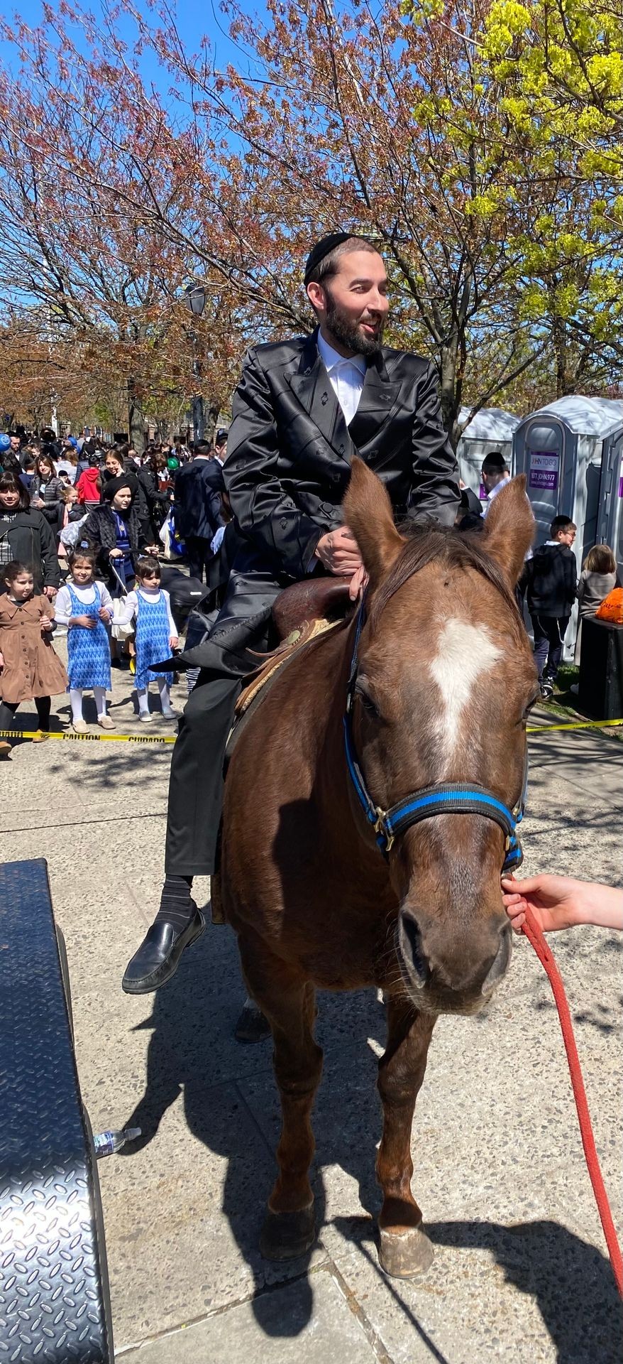 Horse And Pony Rides